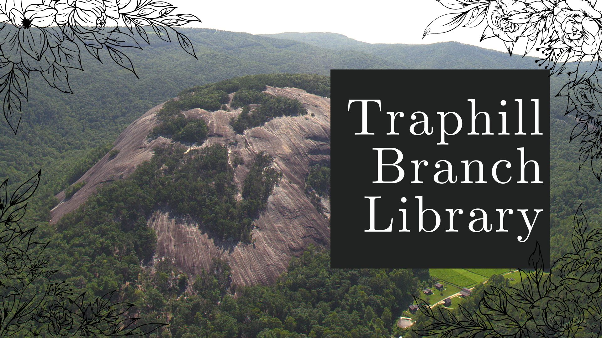 Traphill Branch
