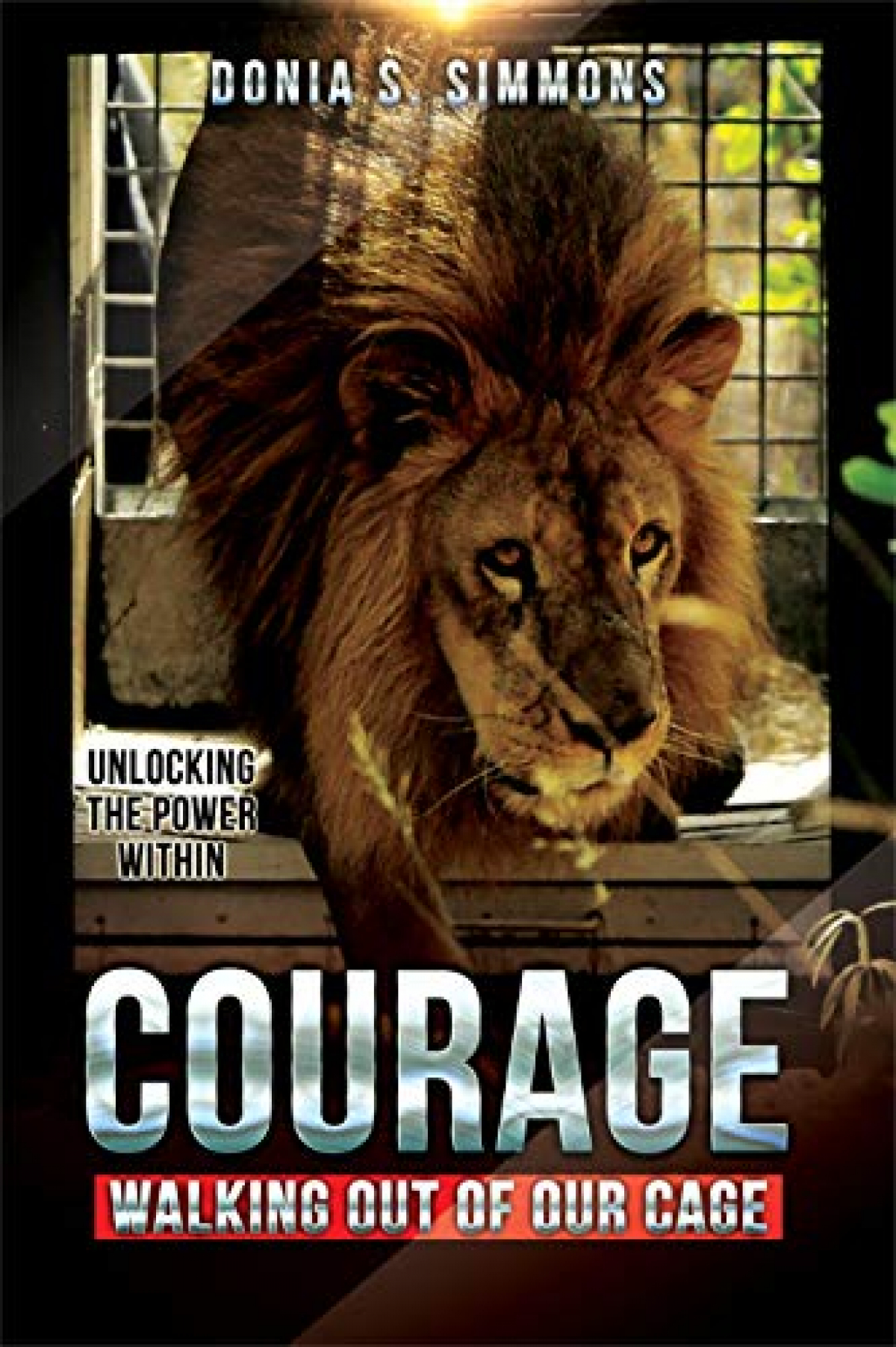 Programs to Empower and Explore, Both Online and at Wilkes Library